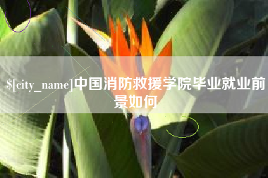 南安中国消防救援学院毕业就业前景如何
