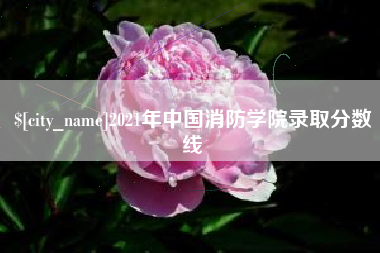 南安2021年中国消防学院录取分数线