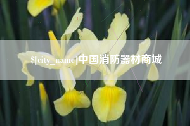 南安中国消防器材商城