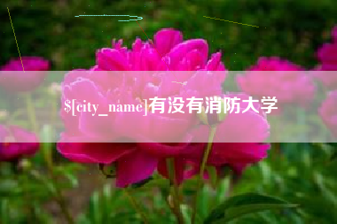 南安有没有消防大学