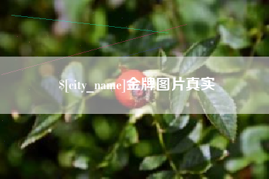 南安金牌图片真实