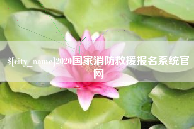 南安2020国家消防救援报名系统官网