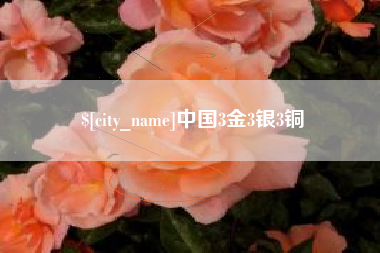 南安中国3金3银3铜