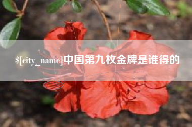 南安中国第九枚金牌是谁得的
