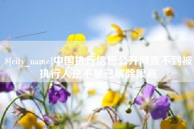 南安中国执行信息公开网查不到被执行人是不是已解除限高