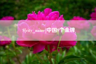 南安中国9个金牌