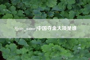 南安中国夺金大项是谁