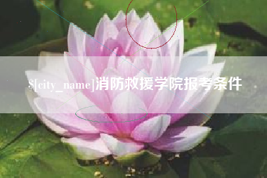 南安消防救援学院报考条件