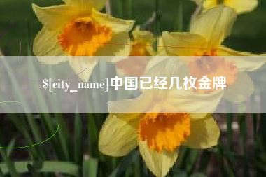 南安中国已经几枚金牌