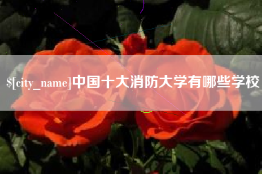 南安中国十大消防大学有哪些学校