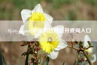 南安中国执行网公开查询入口