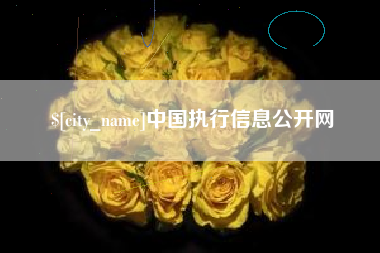 南安中国执行信息公开网