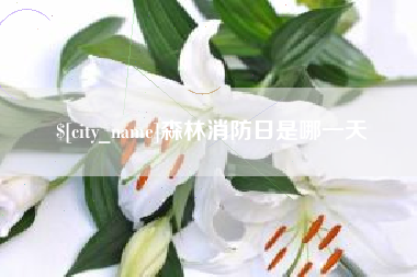 南安森林消防日是哪一天