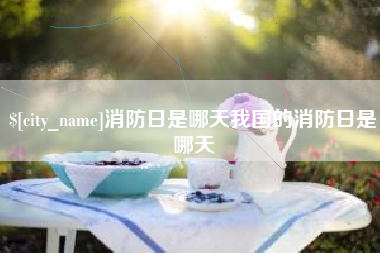 南安消防日是哪天我国的消防日是哪天