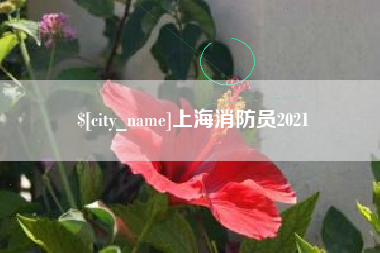 南安上海消防员2021