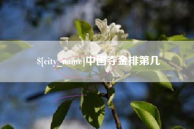 南安中国夺金排第几