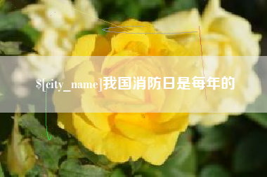 南安我国消防日是每年的