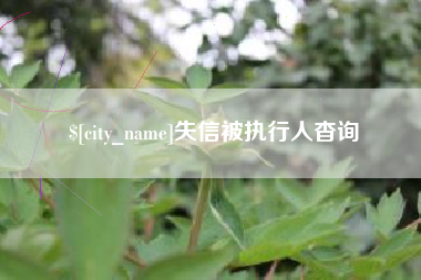 南安失信被执行人杳询