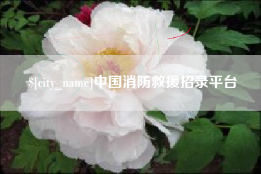 南安中国消防救援招录平台