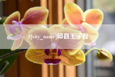 南安邱县王子磊
