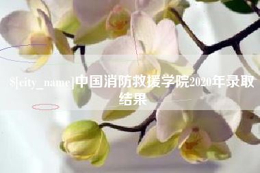 南安中国消防救援学院2020年录取结果
