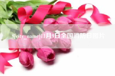 南安11月9日全国消防日图片