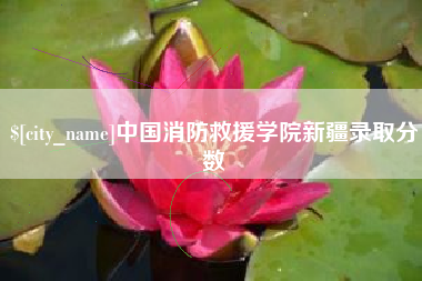 南安中国消防救援学院新疆录取分数