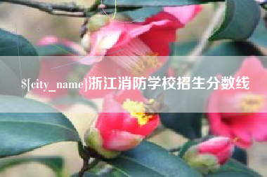 南安浙江消防学校招生分数线