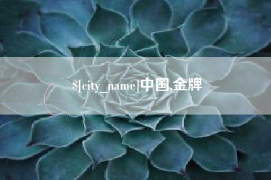 南安中国,金牌