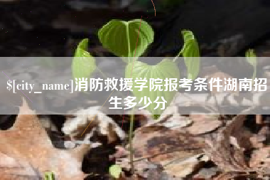 南安消防救援学院报考条件湖南招生多少分