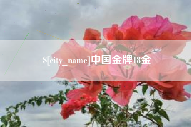 南安中国金牌18金