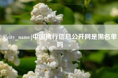 南安中国执行信息公开网是黑名单吗