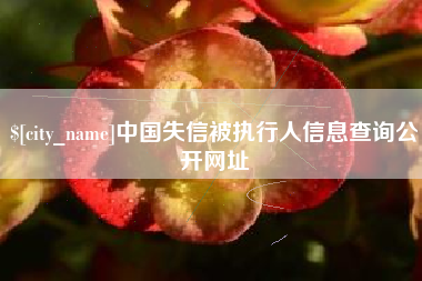 南安中国失信被执行人信息查询公开网址