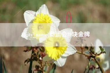 南安奥运会39块金牌