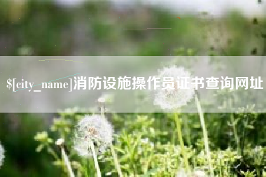 南安消防设施操作员证书查询网址