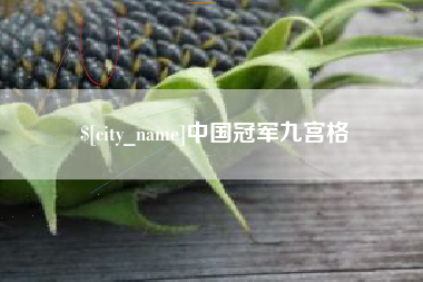 南安中国冠军九宫格