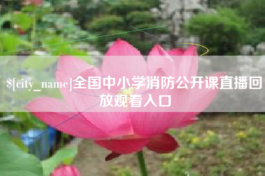 南安全国中小学消防公开课直播回放观看入口
