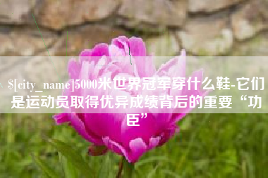 南安5000米世界冠军穿什么鞋-它们是运动员取得优异成绩背后的重要“功臣”
