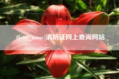 南安消防证网上查询网站
