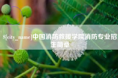南安中国消防救援学院消防专业招生简章