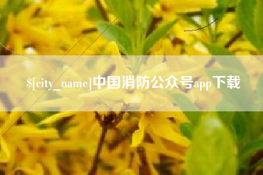 南安中国消防公众号app下载