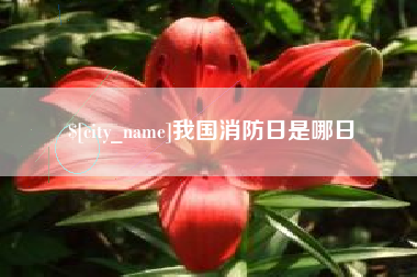 南安我国消防日是哪日