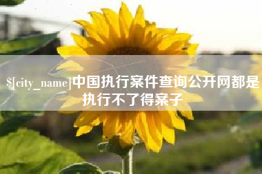 南安中国执行案件查询公开网都是执行不了得案子