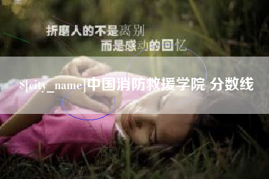 南安中国消防救援学院 分数线