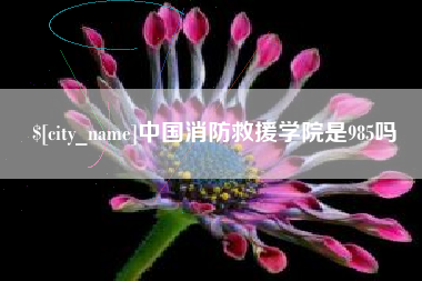 南安中国消防救援学院是985吗
