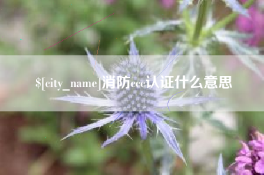 南安消防ccc认证什么意思