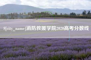 南安消防救援学院2020高考分数线