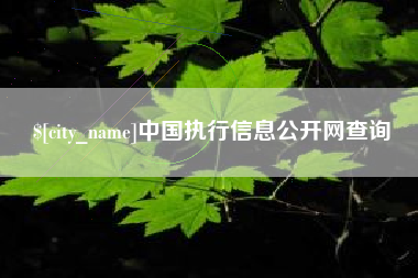 南安中国执行信息公开网查询