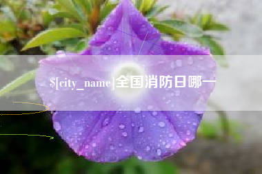 南安全国消防日哪一