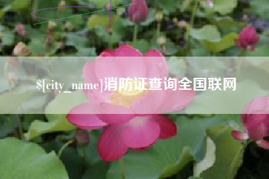 南安消防证查询全国联网